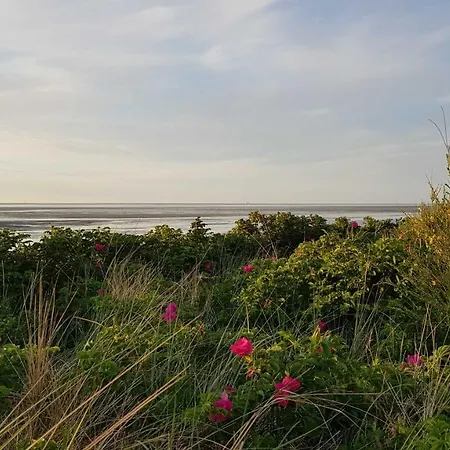 Residenz Vogelsand 2