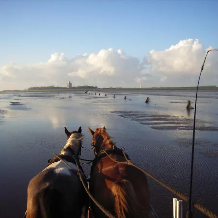 Residenz Vogelsand 2 * Cuxhaven