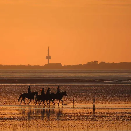 Apartament Residenz Vogelsand 2 Cuxhaven