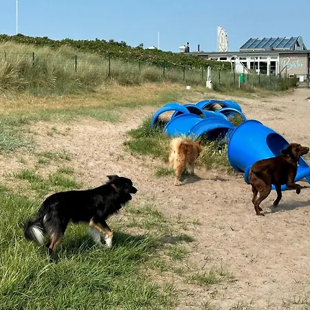 Residenz Vogelsand 2 Apartment